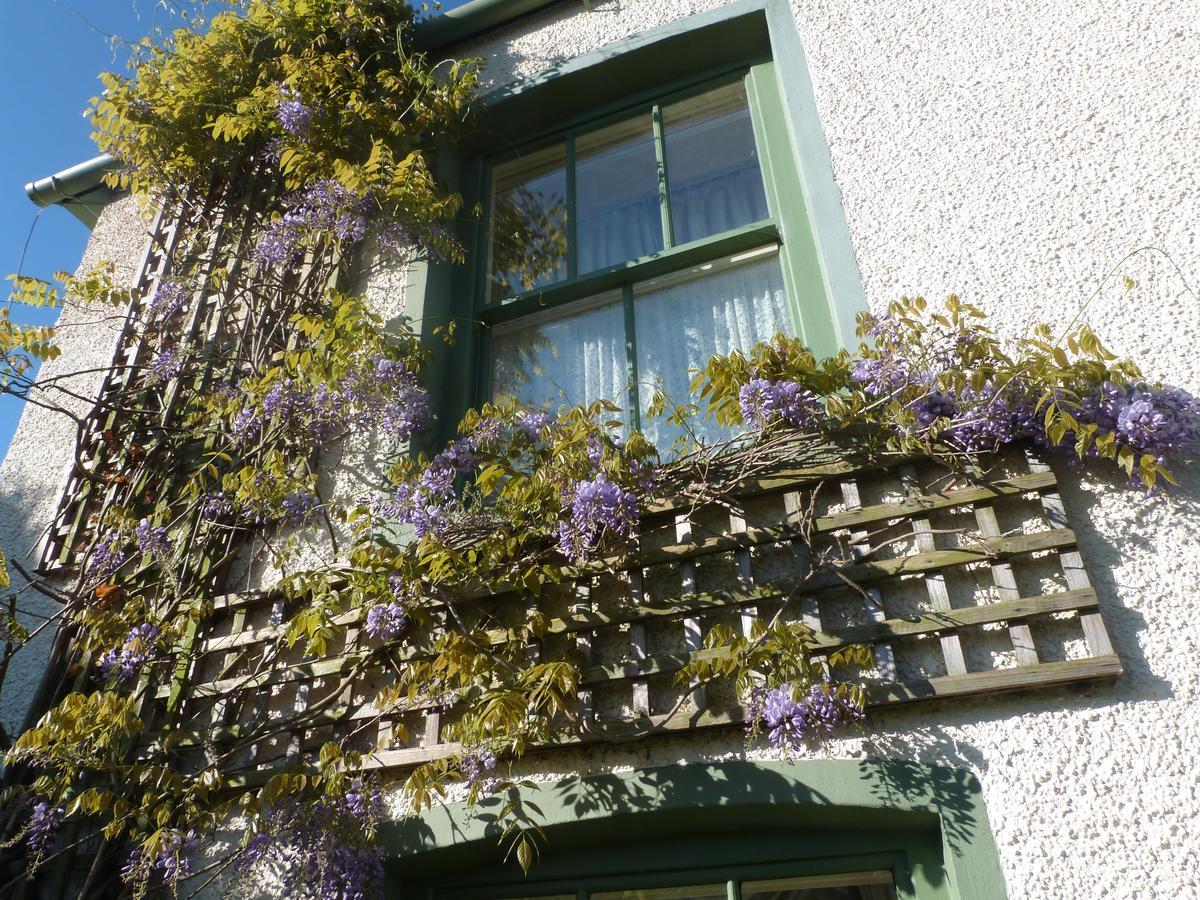 Pomona Bed & Breakfast Lowick Green Eksteriør bilde